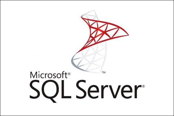 The Microsoft SQL Server database management system.