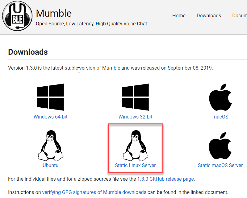 Download static Linux Mumble Server install file.