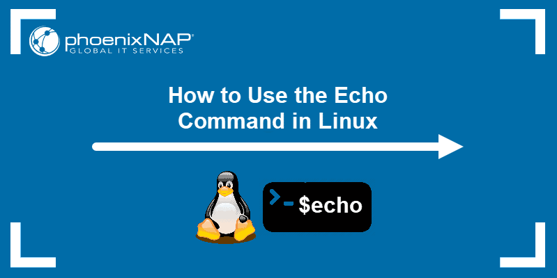 Echo command in Linux