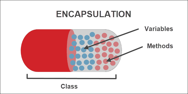 Encapsulation illustration with capsule