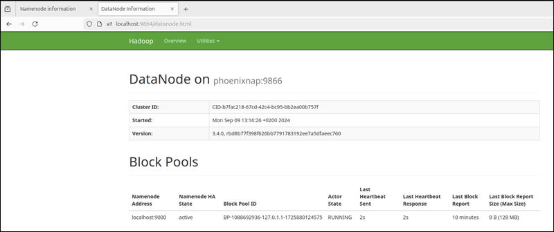 Access the Hadoop DataNode via a browser.
