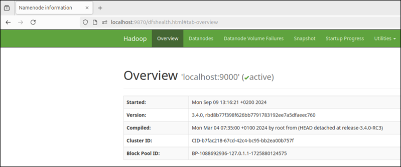 Accessing Hadoop NameNode via browser.