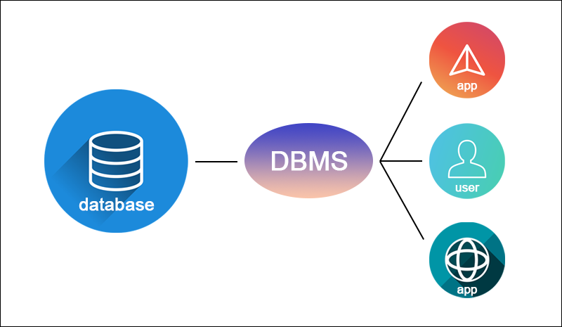 A DBMS stands between the users and the database.