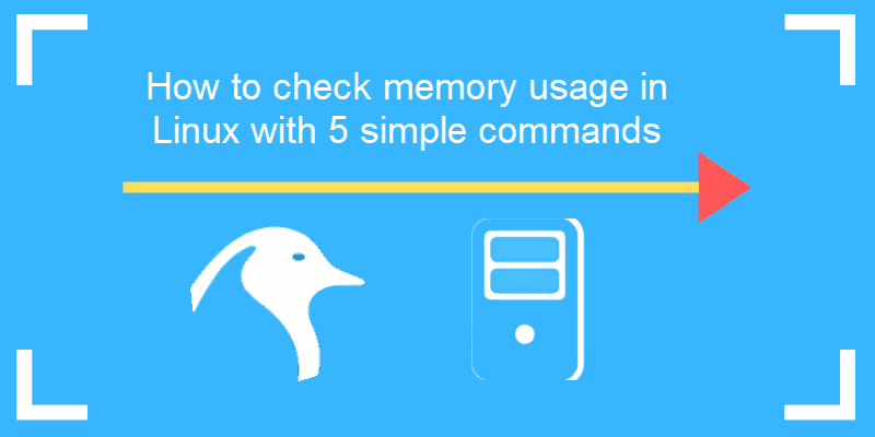 tutorial on how to check memory usage on linux
