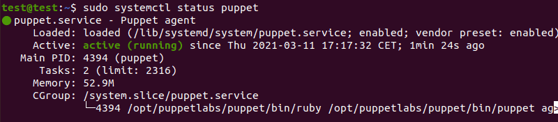 Check the status of the Puppet service