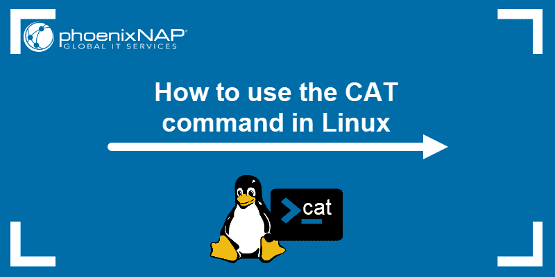 cat command in Linux with examples