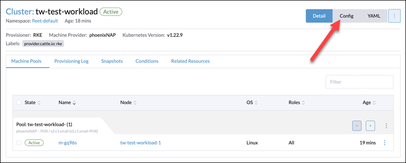 Navigating to the configuration section of the workload cluster in Rancher.