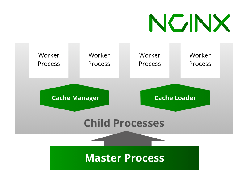 A graphical representation of Nginx architecture