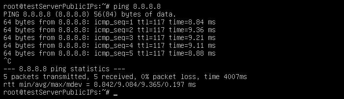 The results of pinging the Google DNS server.