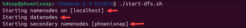 Starting NameNodes and DataNodes on Hadoop.