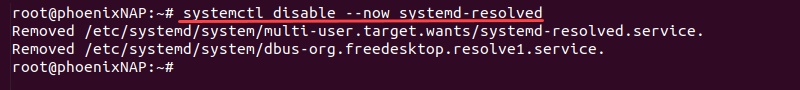 systemctl disable systemd-resolved terminal output